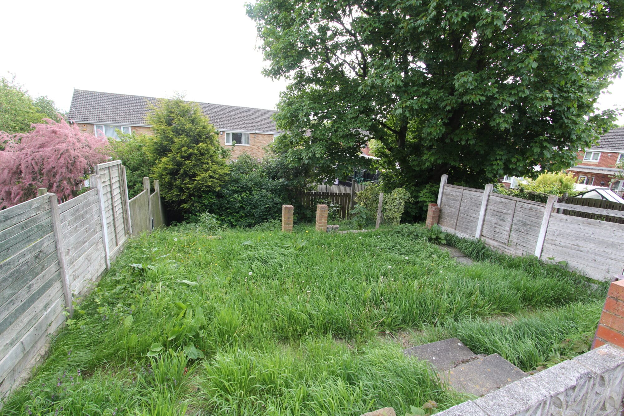 Number 17
